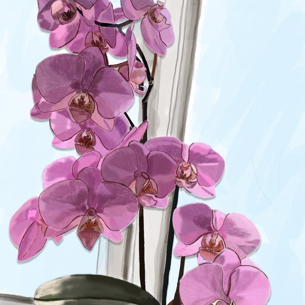 The orchid in my window A4 framed print