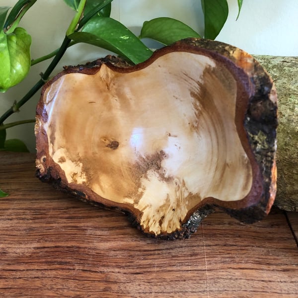 Live edge wooden hand made dish