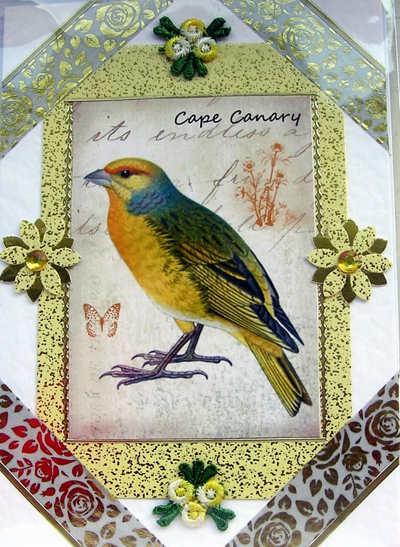 Yellow Cape Canary Bird - Hand Crafted Decoupage Greeting Card - Blank - 2934
