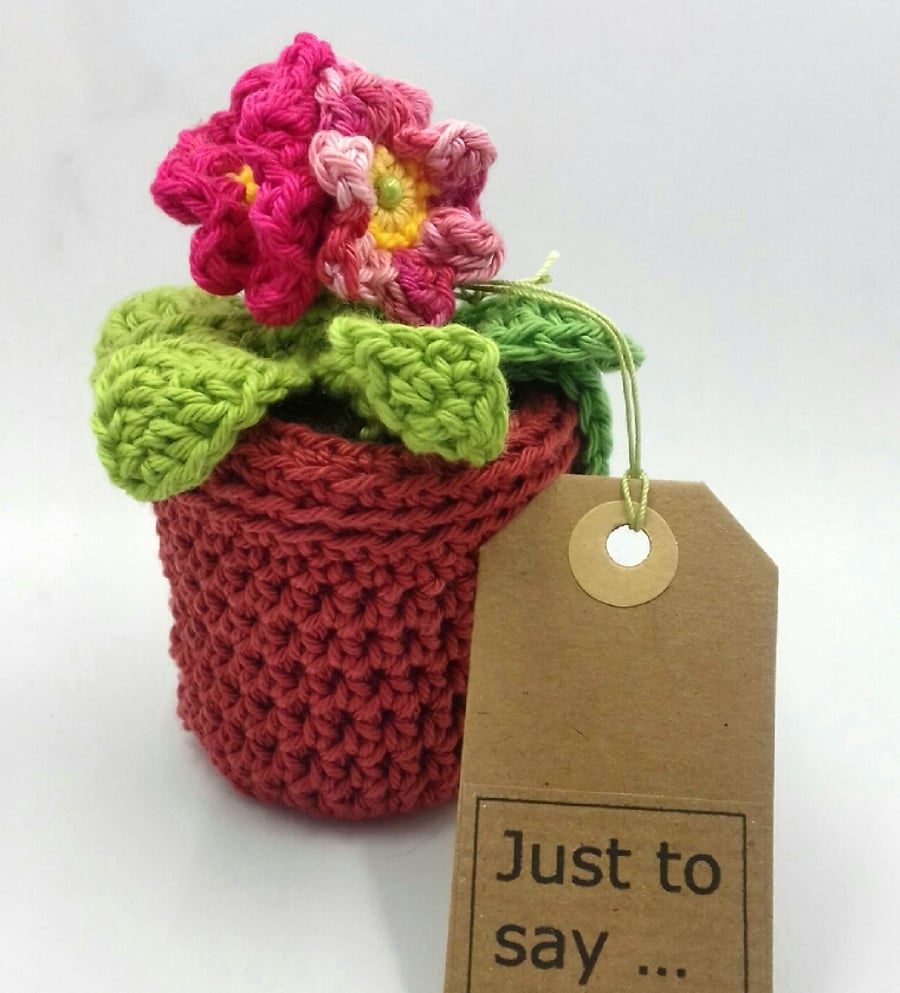 Small Crochet Pot Plant 