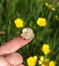Golden Buttercup Large - Image 2