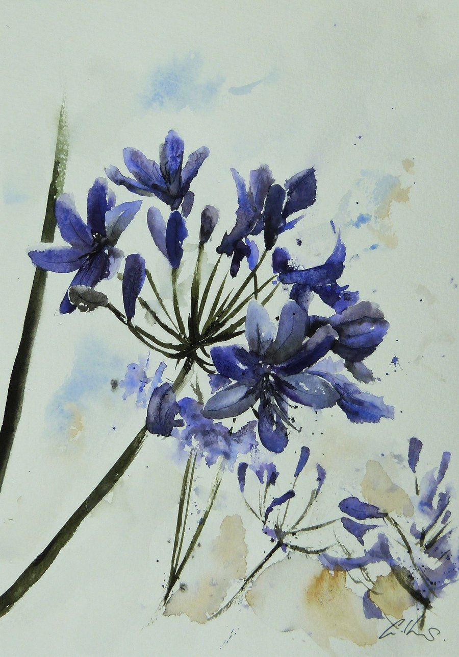 Agapanthus, Original Watercolour Painting.