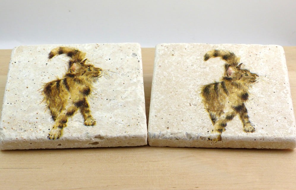 Marble Tabby Cat Coasters