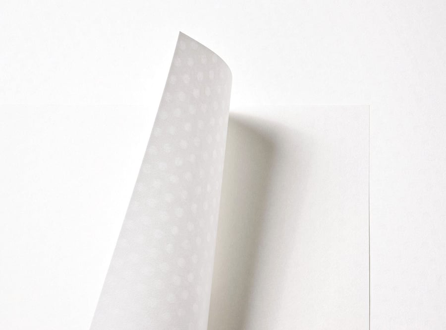 Tamashiki Shiro Premium Pale Ivory Polka Dot Paper 81gsm 10 Sheets