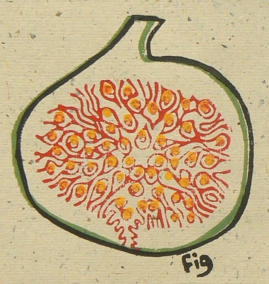 Fig linocut print