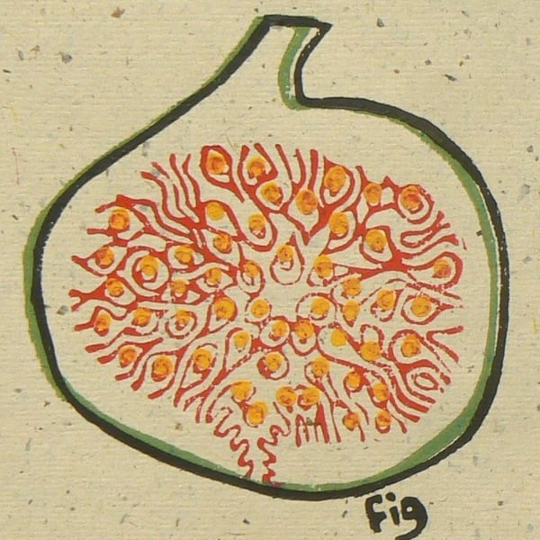 Fig linocut print