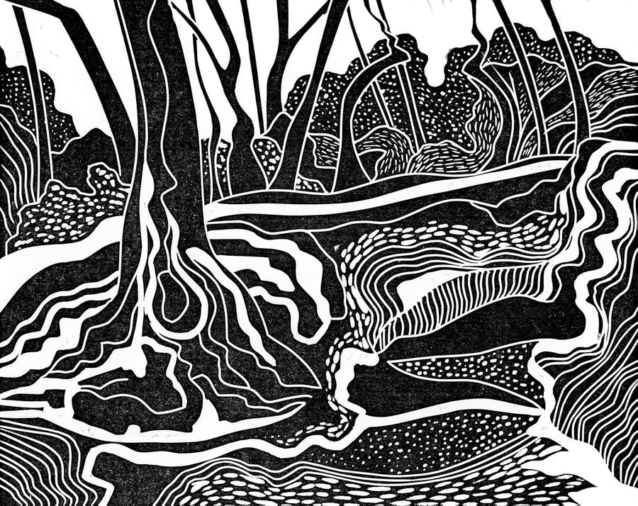 Woodland landscape, Loggerheads Lane.