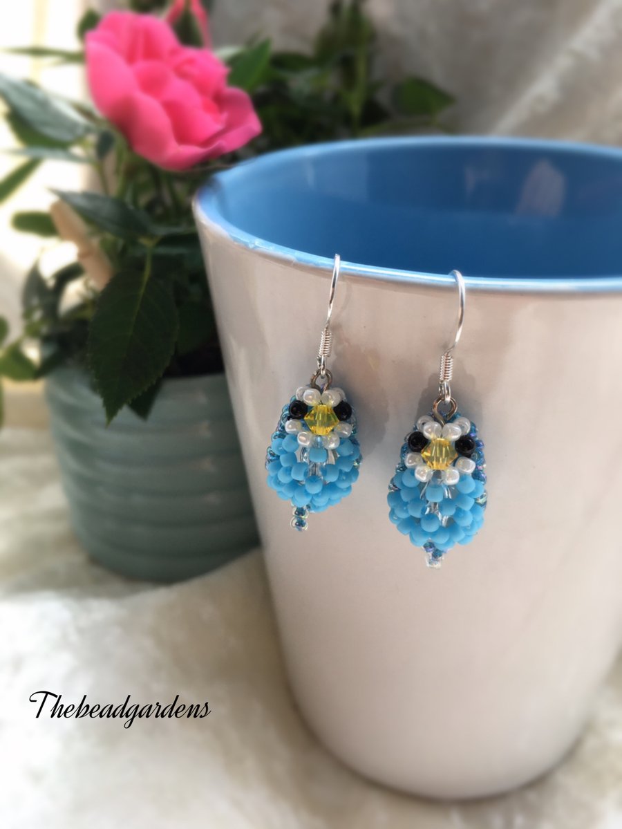 Little budgie earrings 