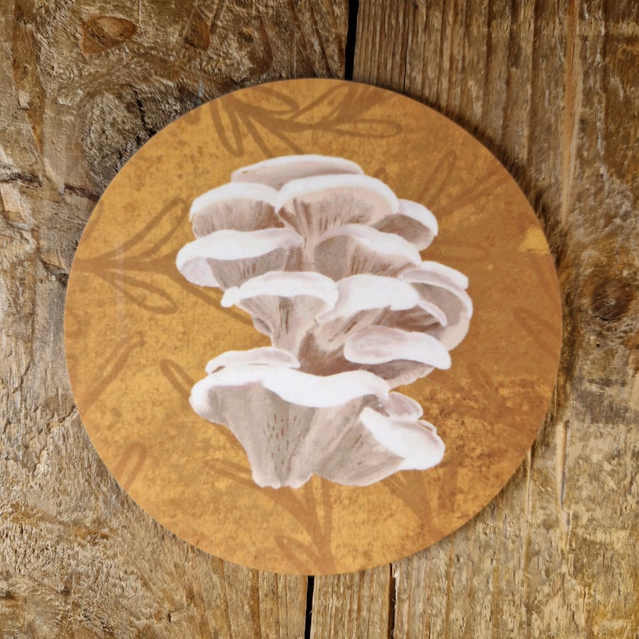 Oyster Mushroom Fungi Coaster