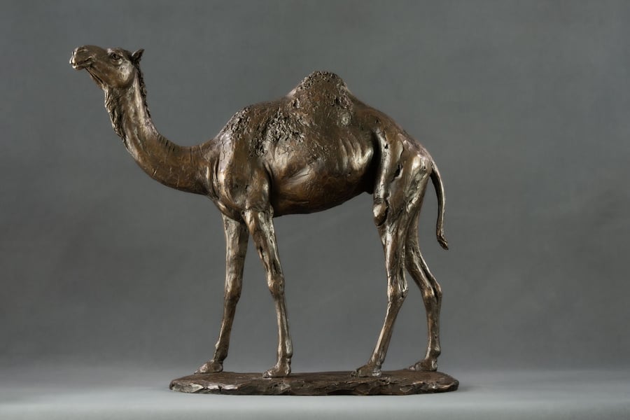 Camel Statue Bronze Resin Sculpture Dromedary Arabian Camel Sculpture