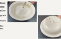 The Home Flowers Collection