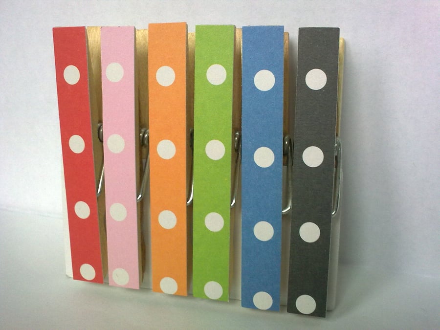 Rainbow Large Spot PegsFridge Magnets Magnetic Card 