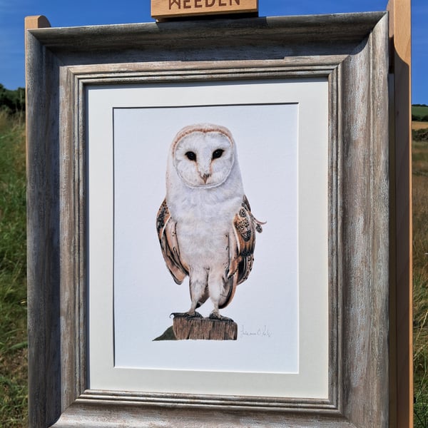 FRAMED BARN OWL 11 X 14