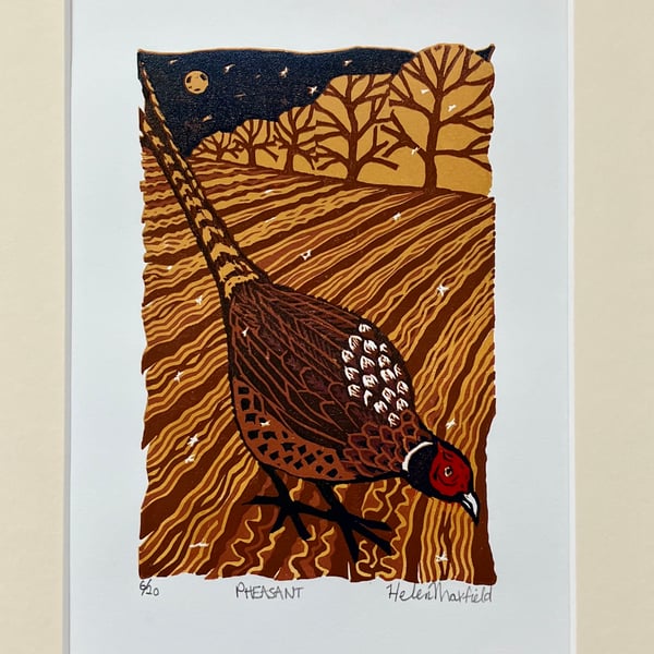 ‘Pheasant’