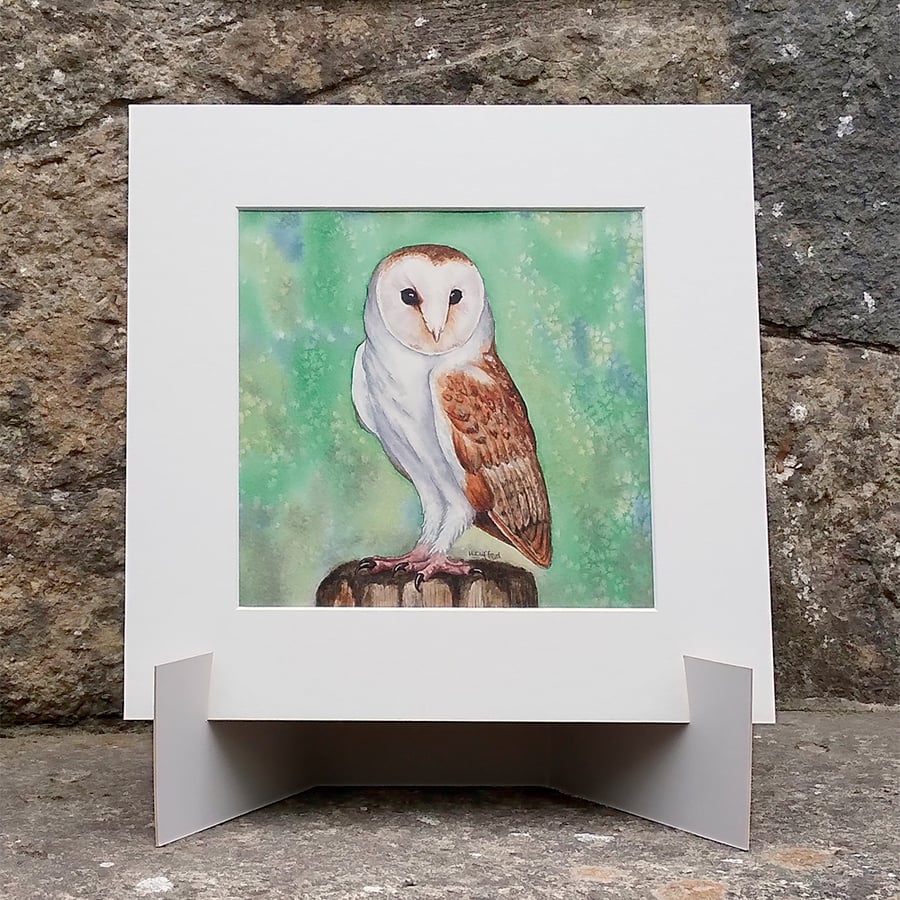 Barn Owl Original Watercolour Bird Painting