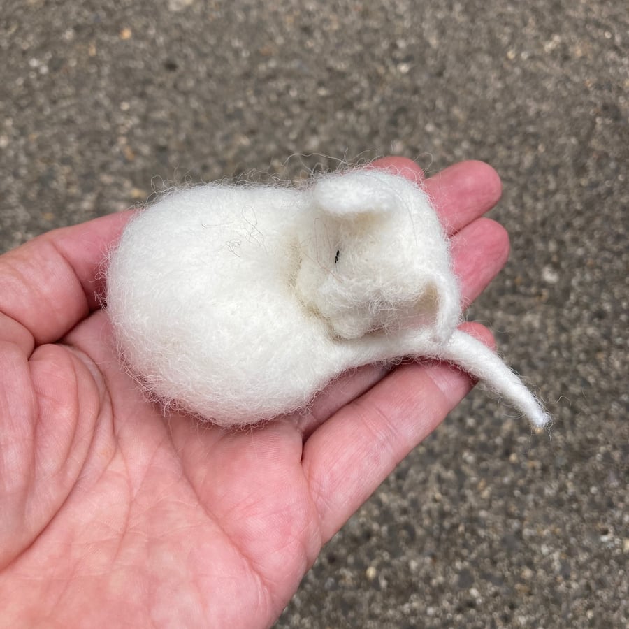 Little sleeping white cat, needle felted
