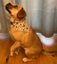 Bones and Paw Prints Reversible Dog Bandana from 4.00
