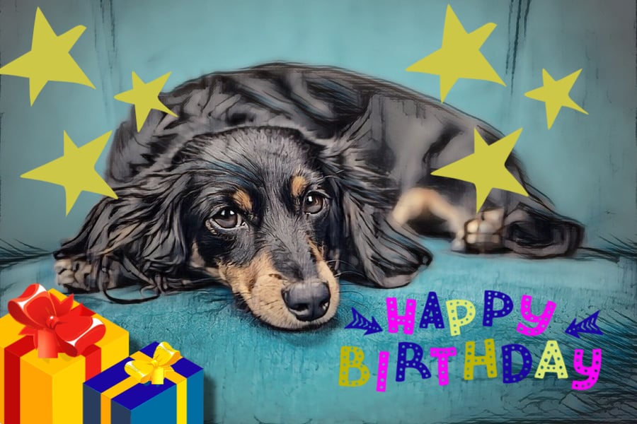 Happy Birthday Sausage Dog Present Card A5