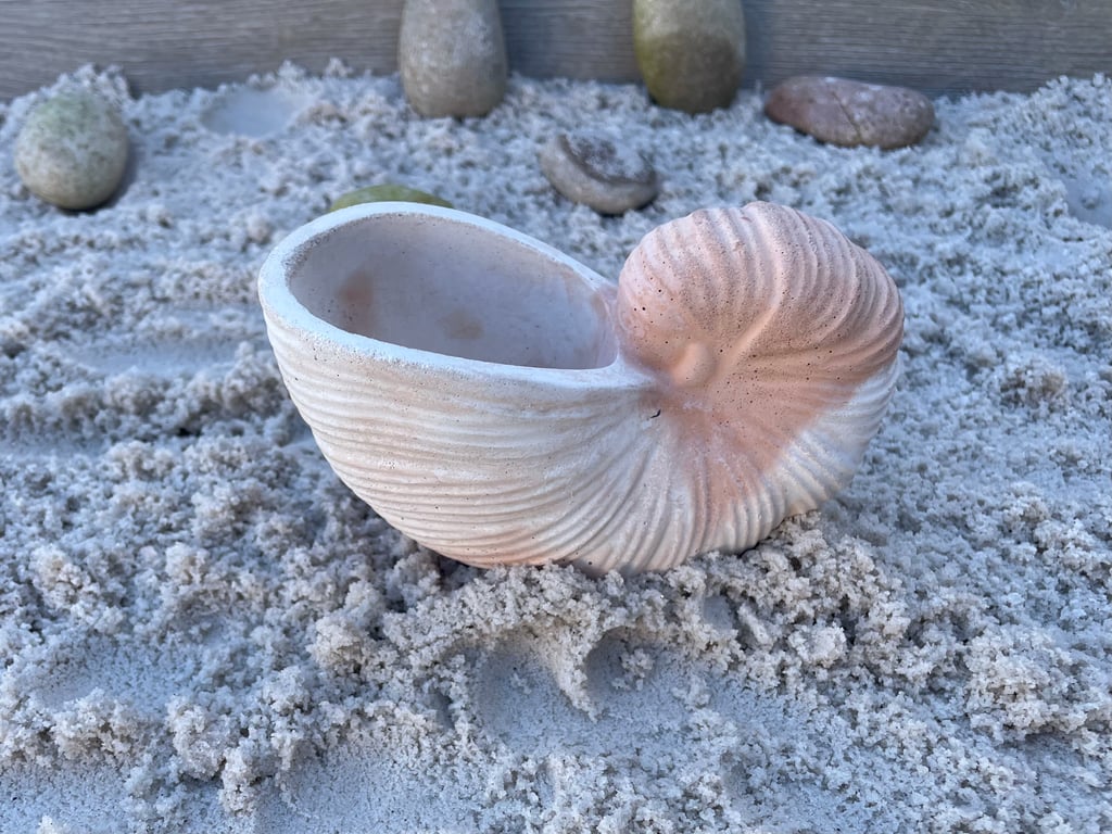 White Cement Nautilus Shell Coastal Decor Sculpture