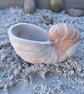 White Cement Nautilus Shell Coastal Decor Sculpture