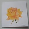 HAND PAINTED WATER COLOUR CARD  OF  FLOWERS (ROSE)