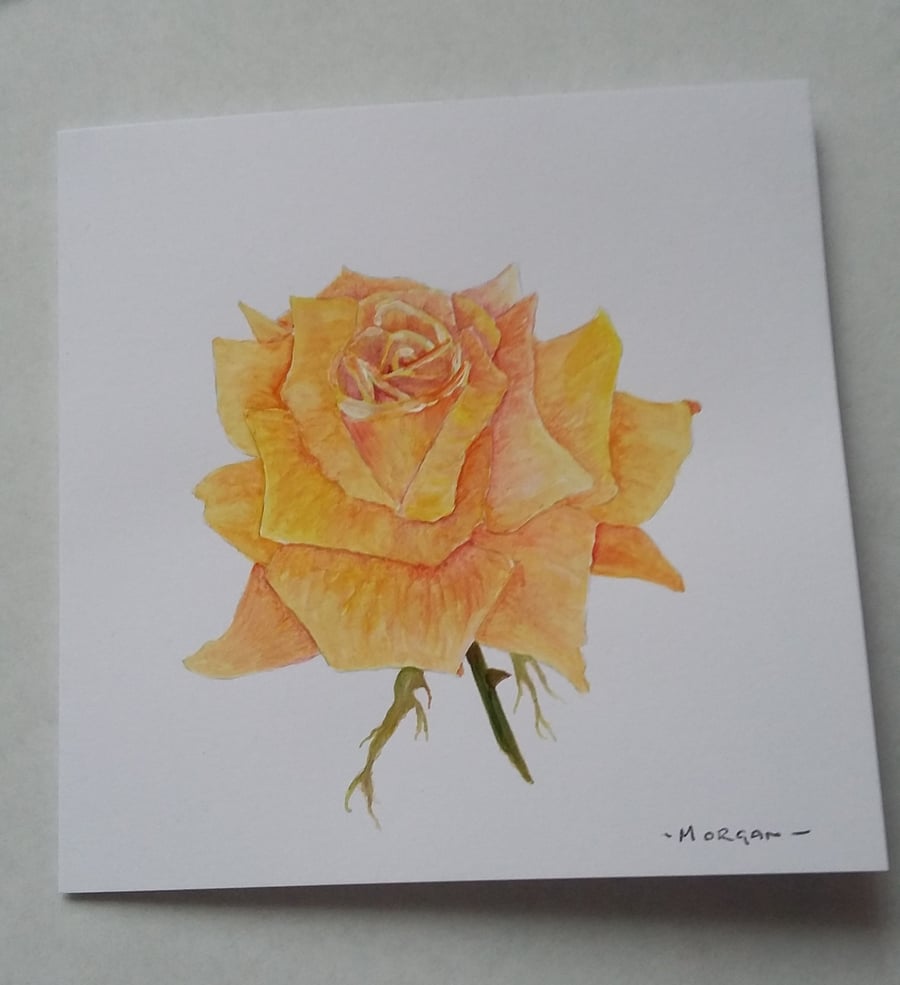 HAND PAINTED WATER COLOUR CARD  OF  FLOWERS (ROSE)