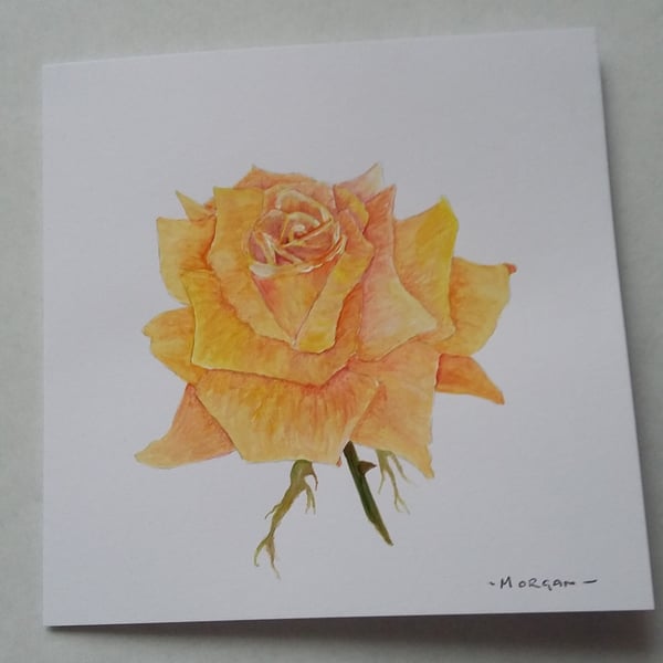 HAND PAINTED WATER COLOUR CARD  OF  FLOWERS (ROSE)