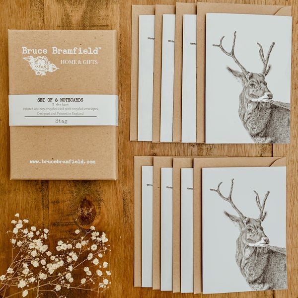 Stag Eco Notecards Boxed Set