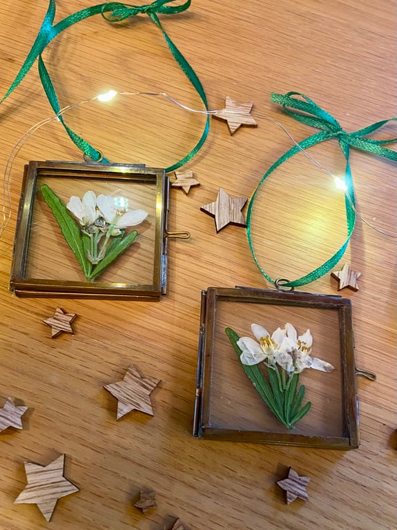 Xmas Decoration - vintage pressed flower decoration- Mexican Orange Blossom