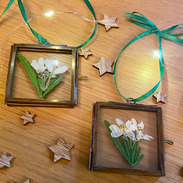 Xmas Decoration - vintage pressed flower decoration- Mexican Orange Blossom