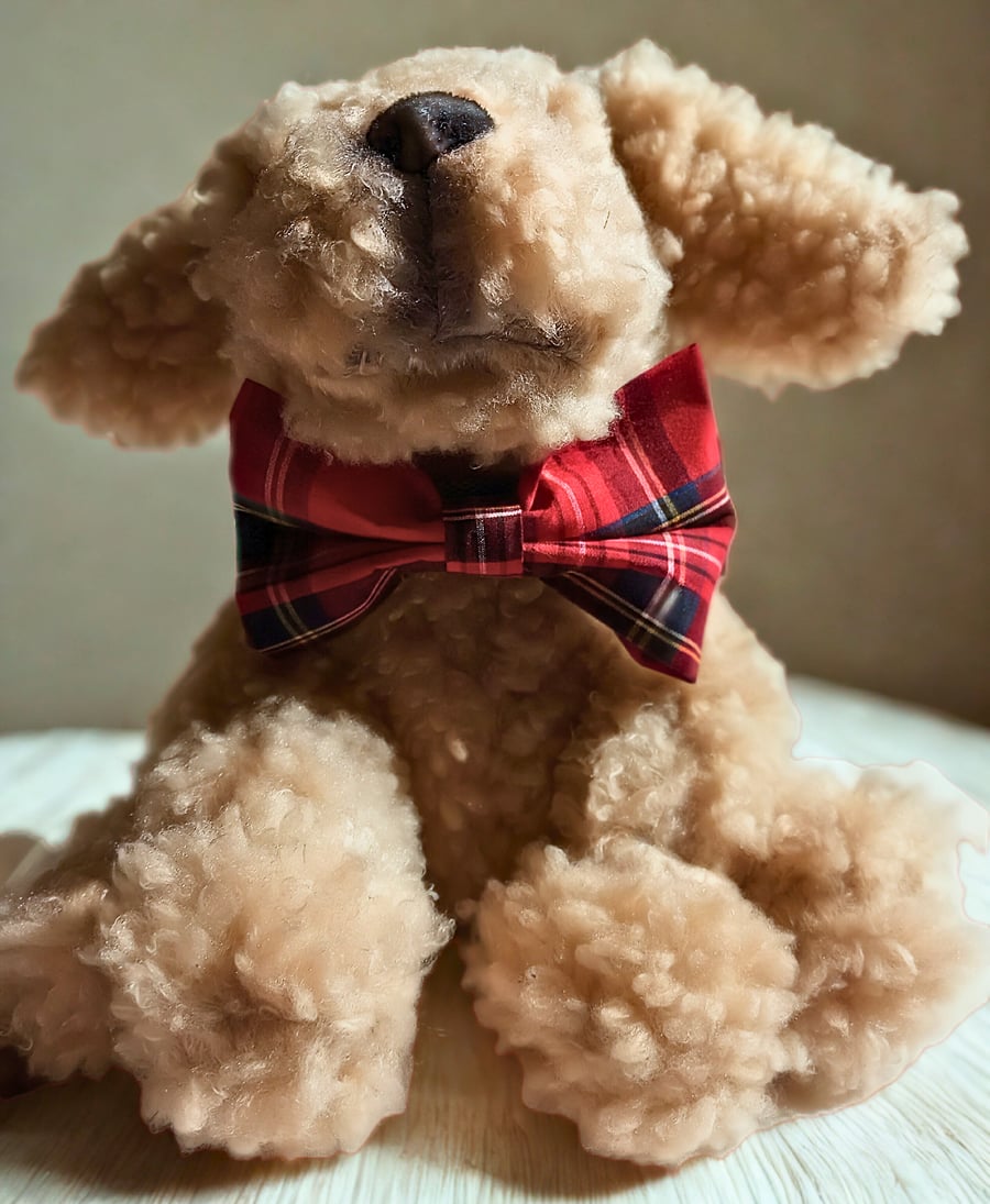 Dog bow tie