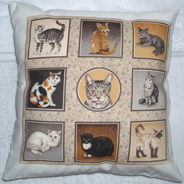 Cats in squares cushion.