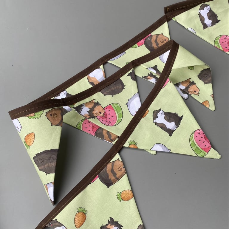Guinea pigs miniature bunting. Viv decorations. Cage decorations.