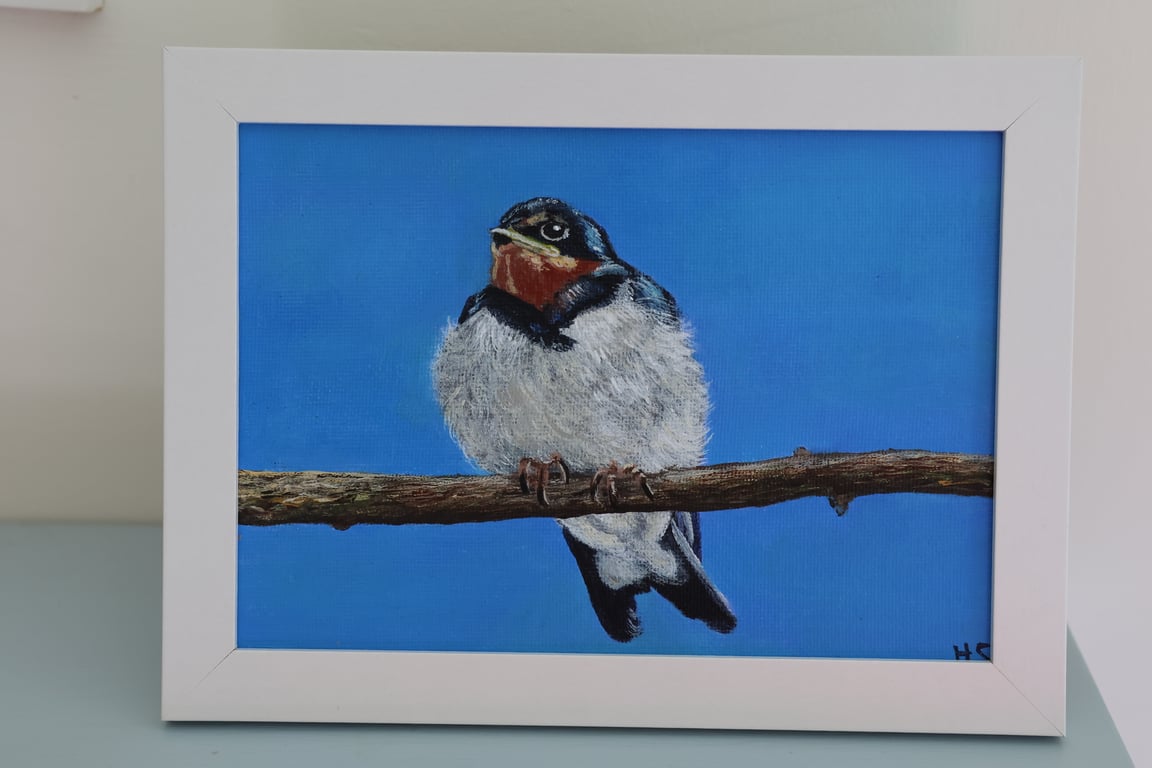 Young Swallow in Acrylics 