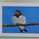 Young Swallow in Acrylics 
