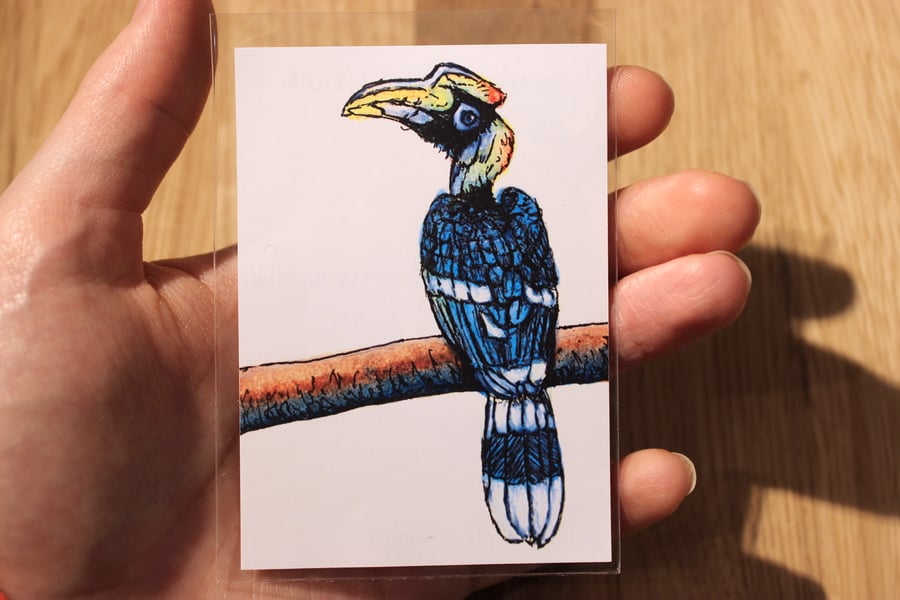 Great Hornbill ACEO ORIGINAL - Mini Wildlife Art, Free UK Post
