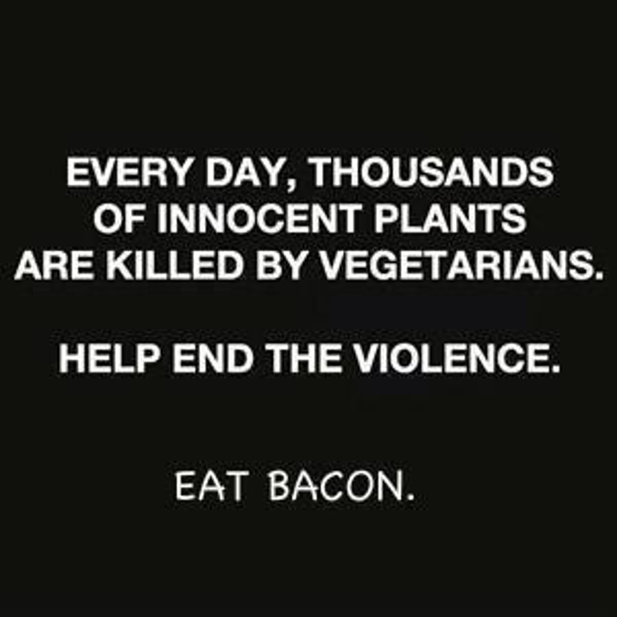 Eat Bacon Anti-Vegetarian Funny Decorative Fridge Magnet