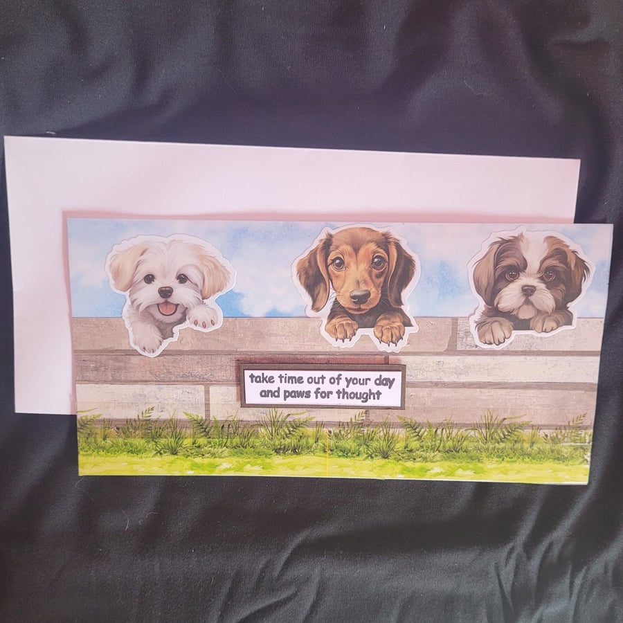 Peeping dogs blank greetings card, puppies