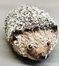 Hedgehog - Image 1