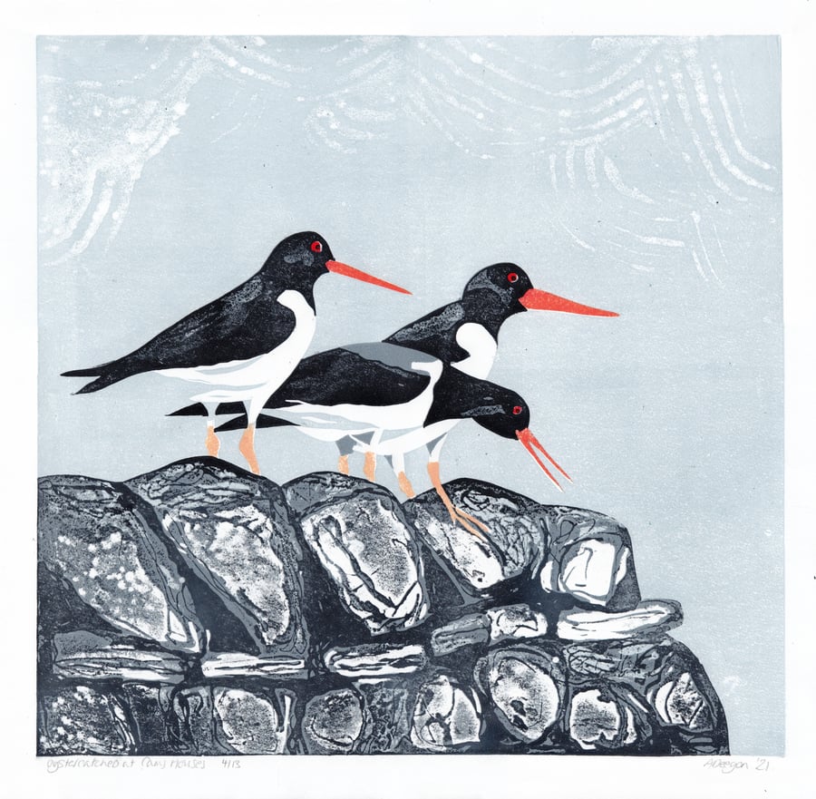 Oystercatchers, yorkshire landscape, dry stone wall