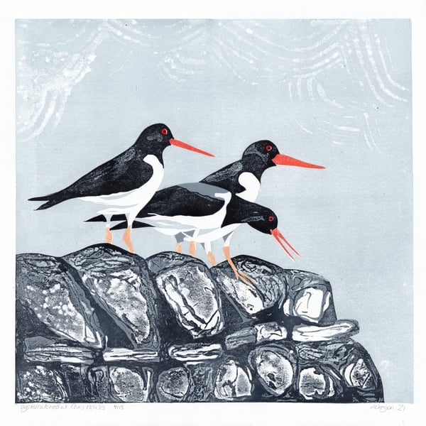 Oystercatchers, yorkshire landscape, dry stone wall