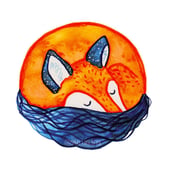 Smallwildfox