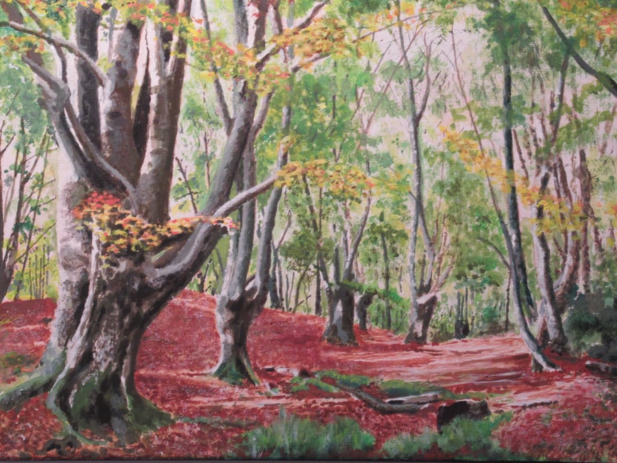Woodland Glade, Epping Forest, Epping Essex, Print copy of original art, 