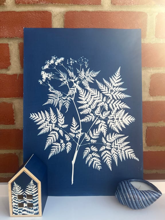Sweet Cicely in Cyanotype, Botanical gift. Floral Gift