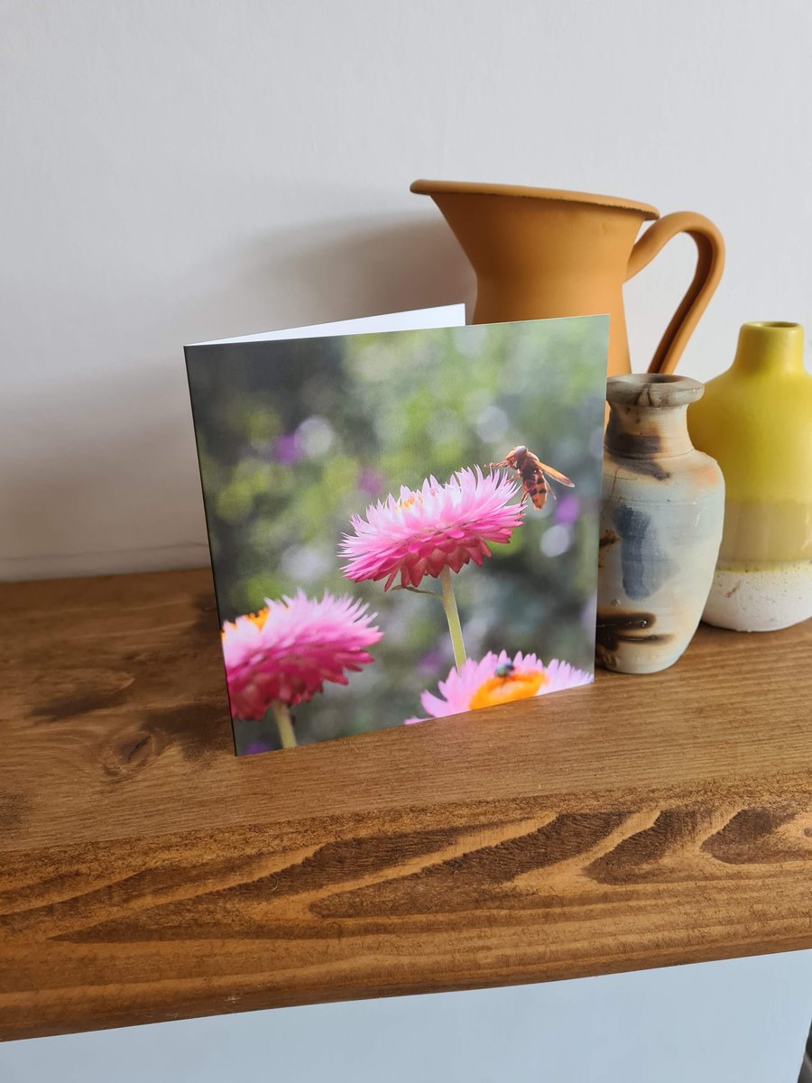 Bee on strawflower photo printed card