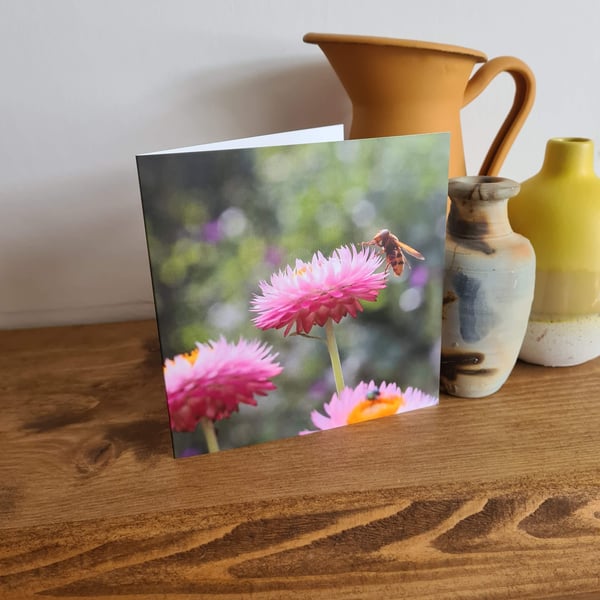 Bee on strawflower photo printed card