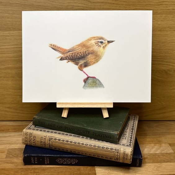European Wren - A5 Giclée Art Print