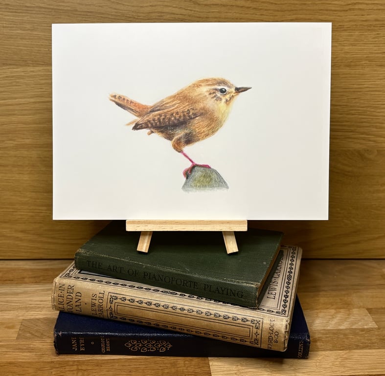 European Wren - A5 Giclée Art Print