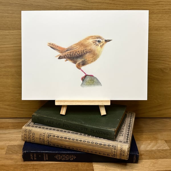 European Wren - A5 Giclée Art Print