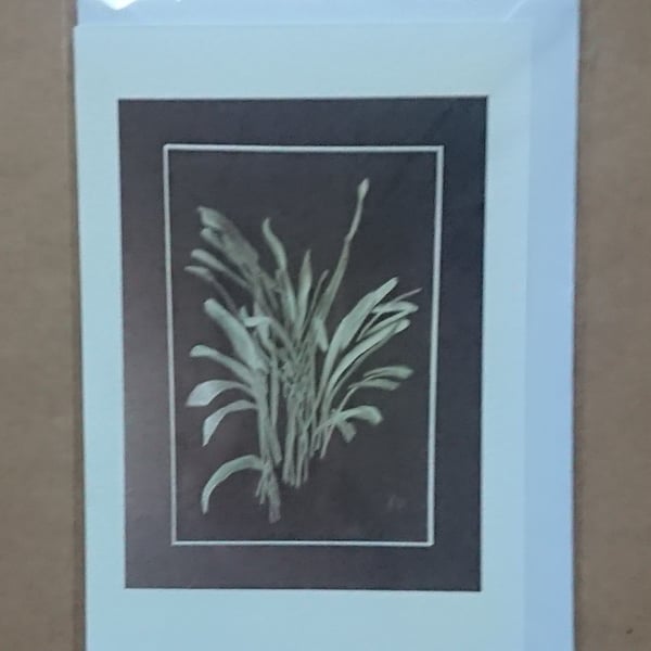 Seconds - Areca on Black, handmade botanical card, imperfect